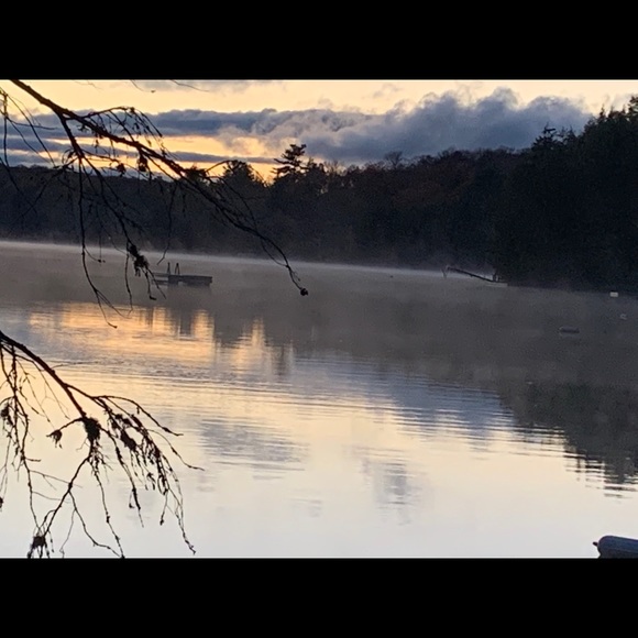 Meet your Posher, Jessica - Picture 1 of 1